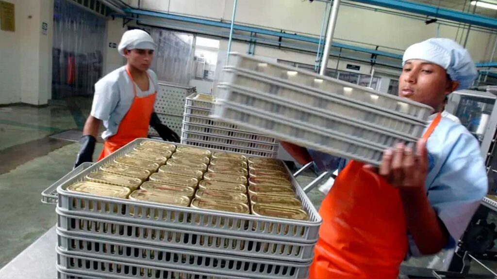 Proyecciones de Empleo 2025: Las Empresas que Más Contratarán